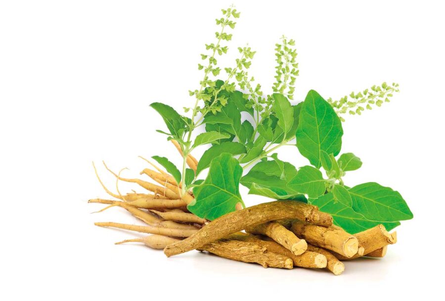 woman-herbs-900x609